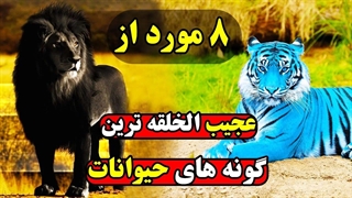 عجیب ترین نژادهای حیوانات که تصاویرشان از همه جا سانسور شد